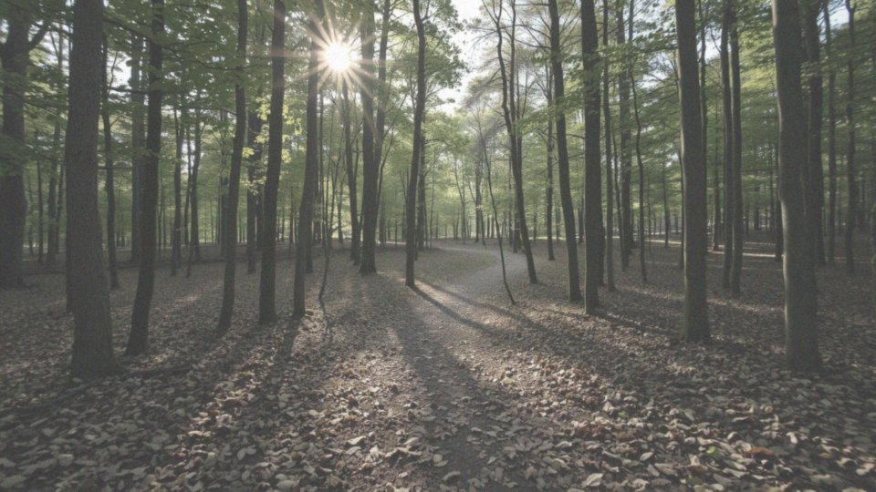 Jak rzucenie palenia stabilizuje poziom neuroprzekaźników?